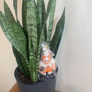 Clemson Tigers soap dispenser